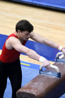 Pommel Horse
