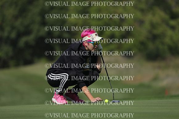 ILGFG_23_IND1006
