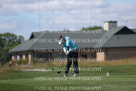 ILGFG_23_IND1017