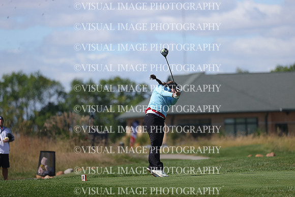 ILGFG_23_IND1039