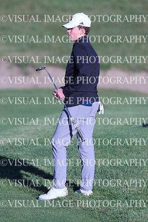 ILGF_24_T3010031