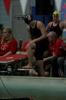 wiswg09_2free_2008