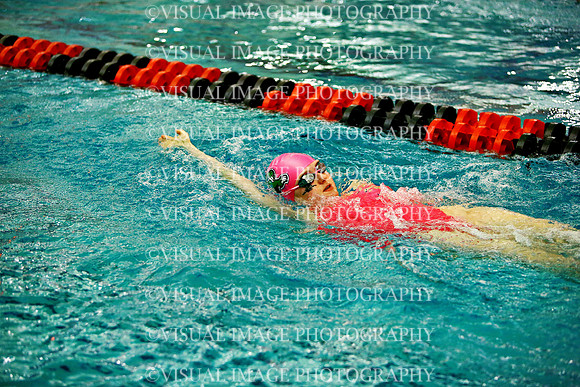 WISWG_24_S20006