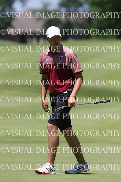 WIGF_18_IND1033
