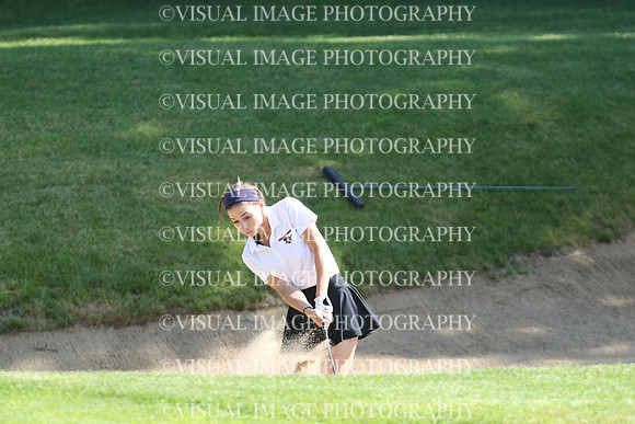 WIGF_18_301011