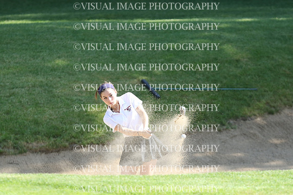 WIGF_18_301012