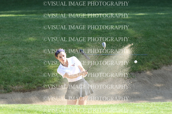 WIGF_18_301013