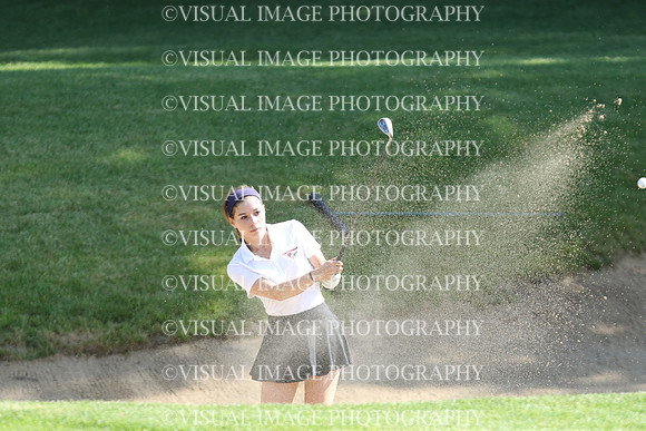 WIGF_18_301014