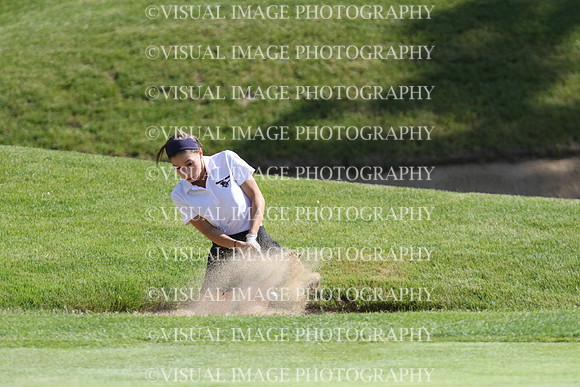 WIGF_18_301015