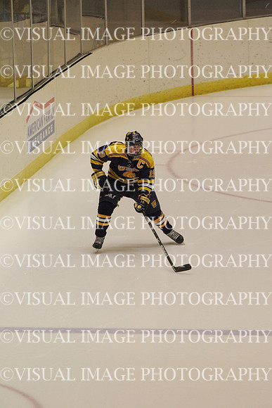 wihky_10_f001