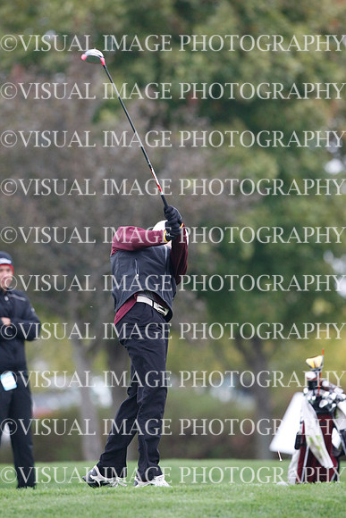 ILGF_13_IND30033