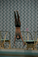 wisw10_dive_1011