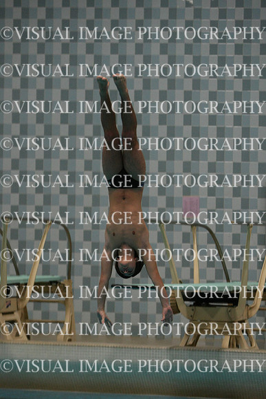 wisw10_dive_1011