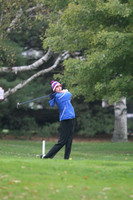 ILGF_13_T201008