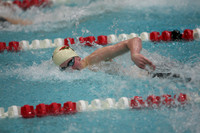 wisw10_1free_2012