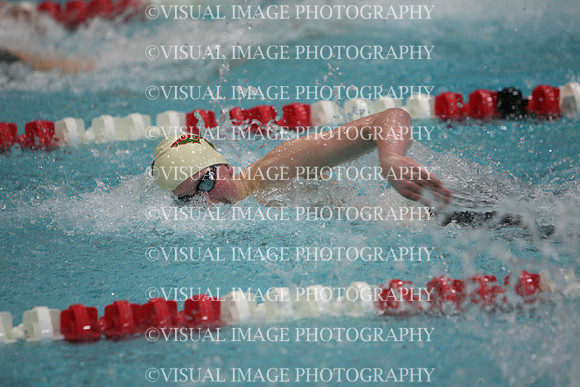 wisw10_1free_2012