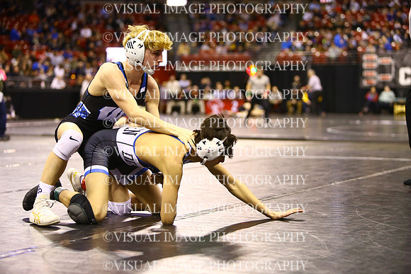 WIIWR25_113_C2011