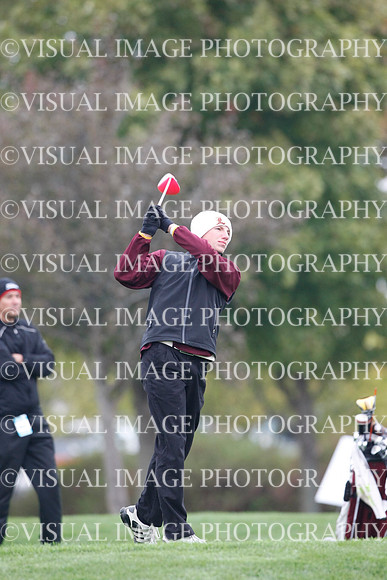 ILGF_13_IND30039