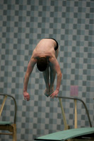wisw10_dive_1018