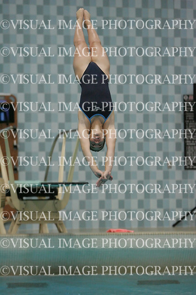 wiswg09_dive_1010
