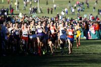 ILXC_13_30017
