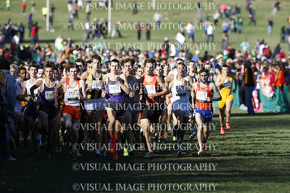 ILXC_13_30017