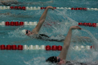 wiswg09_2imed_2010