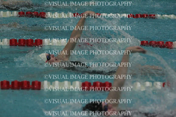 wiswg09_2imed_2010