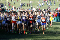ILXC_13_30020