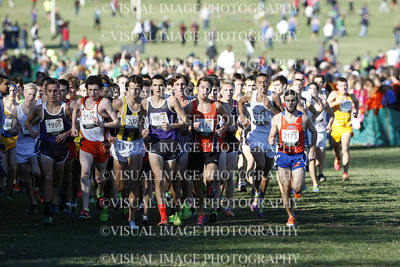 ILXC_13_30020