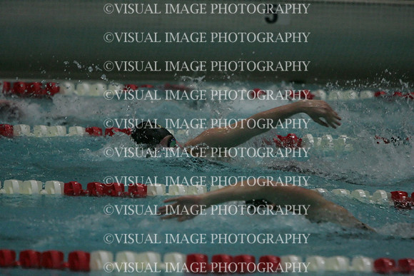 wiswg09_1free_2030