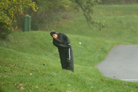 WIGFG_13_IND2009