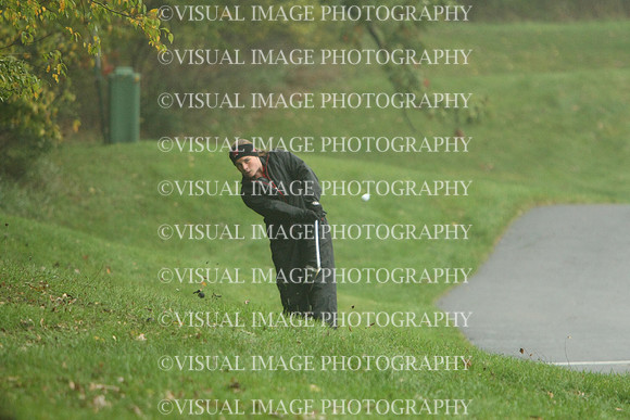 WIGFG_13_IND2009