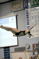 Diving