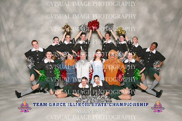 TDIHS12_POM_14001