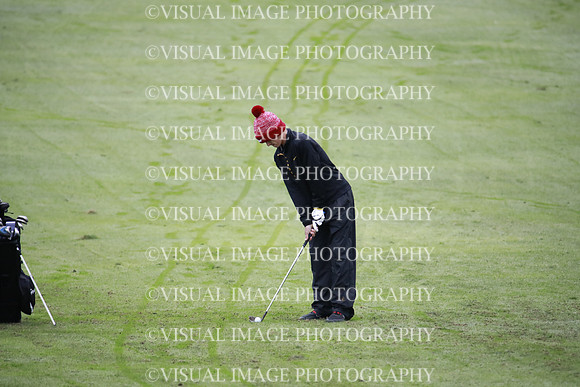 ILGF_18_T106004