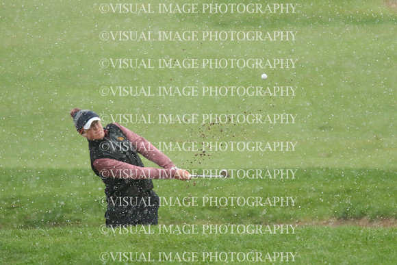 ILGF_18_T308049
