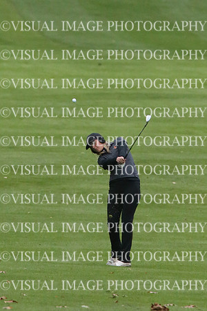 ILGFG_18_I20076