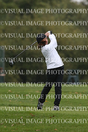 ILGFG_18_I20117