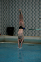 wisw10_dive_1010