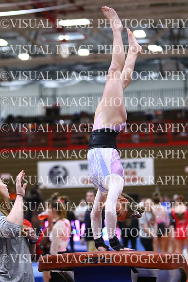 WIGYMG25_VAULT_I002