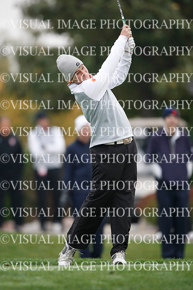 ILGF_13_T312008
