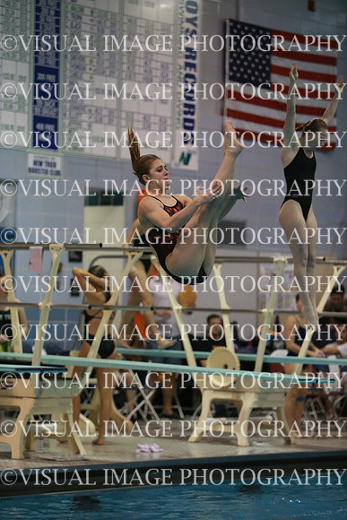 ILSWG13_DIVE_039