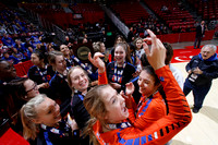 ILVBG_18_A13019