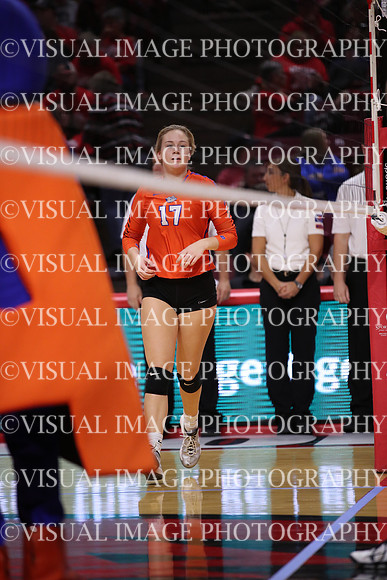 ILVBG_18_S11009