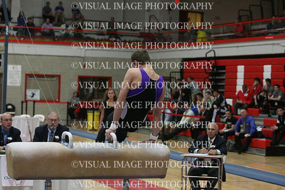 ILGYM14_PHORSE_I039
