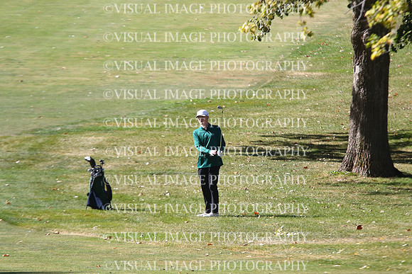 ILGF_24_T202011