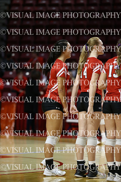 ILVBG_18_S41025