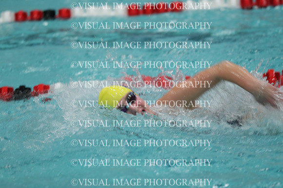 WISWG_18_S20002