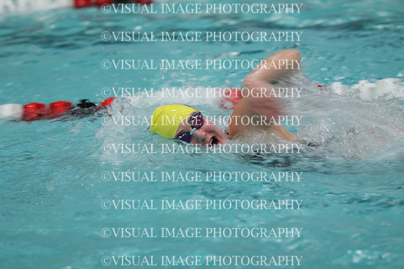 WISWG_18_S20003